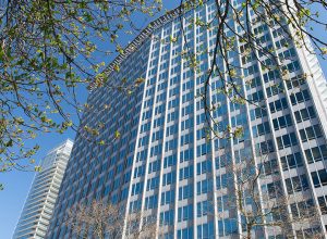 Registered Agent Services in Canada Virtual Business Address